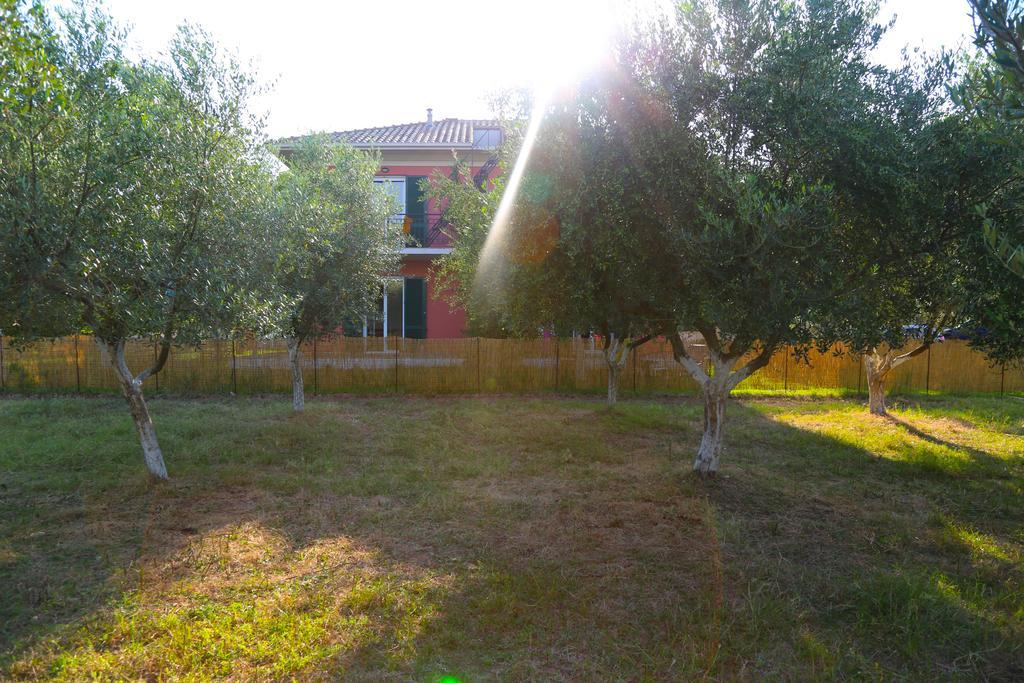 Spasmeni Vrisi Lygia  Camera foto